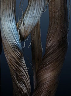 Descripción de la imagen 1